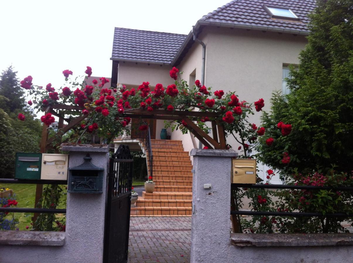 Bel Appartement En Rdc Proche Strasbourg Nice Apartment Very Near Strasbourg Exterior photo